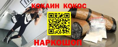 гашик Кингисепп