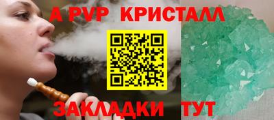 гашик Кингисепп