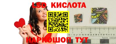 гашик Кингисепп