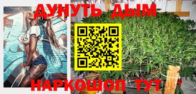 гашик Кингисепп