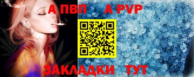 гашик Кингисепп