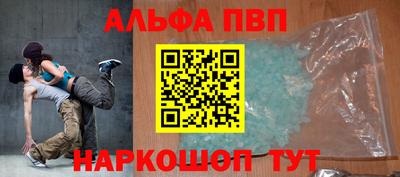 гашик Кингисепп