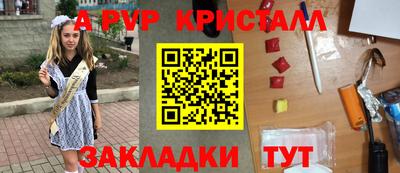 гашик Кингисепп
