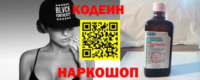 гашик Кингисепп