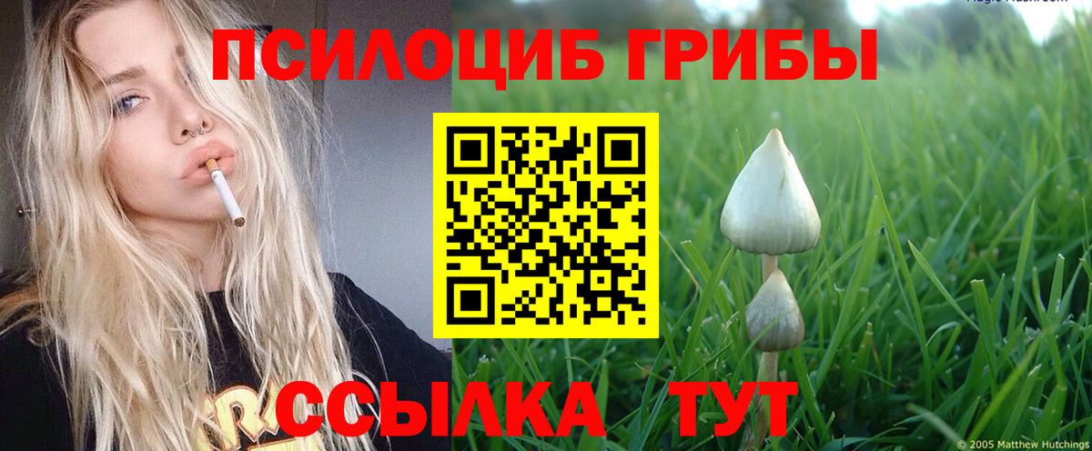 Галлюциногенные грибы MAGIC MUSHROOMS Котельники