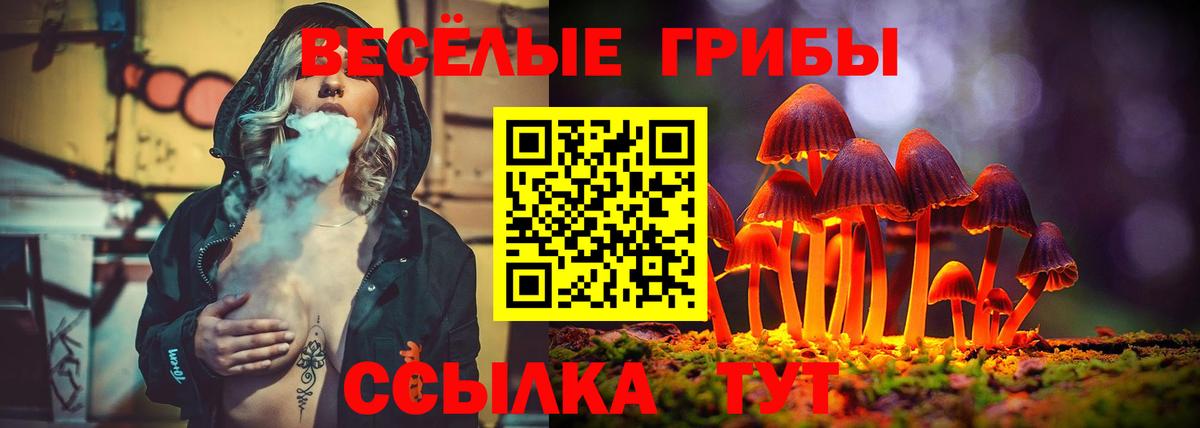 Котельники  Галлюциногенные грибы Magic Shrooms  Вход с VPN 